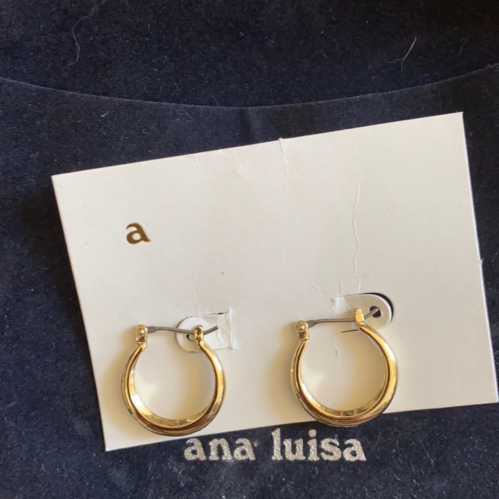Ana Luisa gold hoop earrings